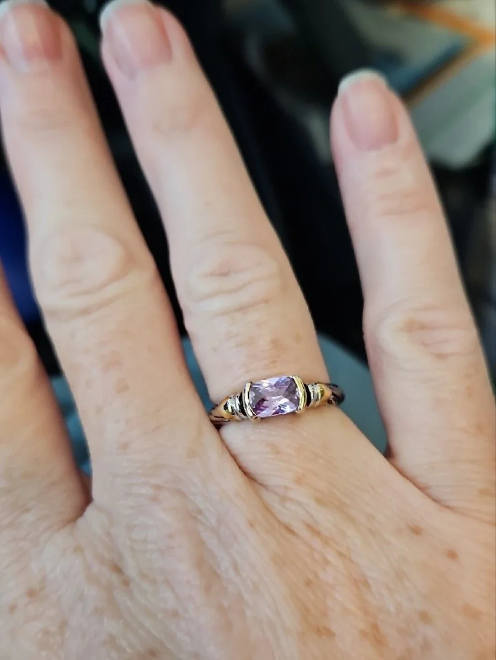 Amethyst Accent Silver and Gold-Tone Women's Ring